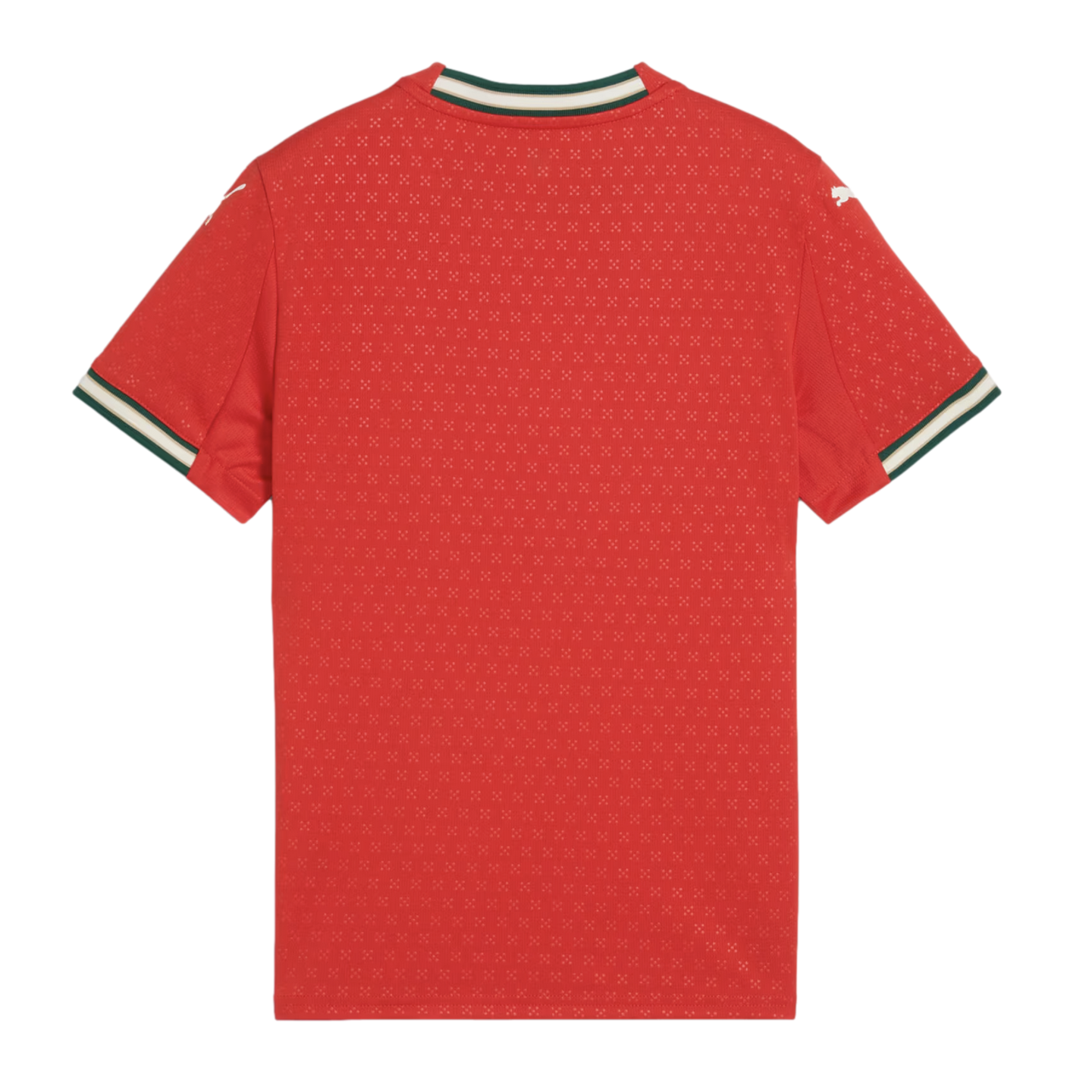 Puma Portugal 2025 Youth Home Jersey - Image 2